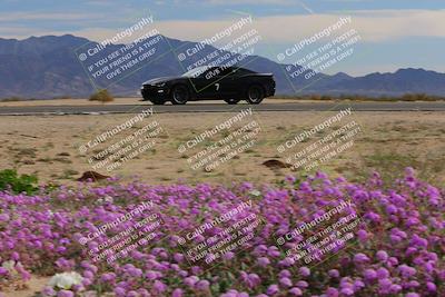 media/Jan-08-2023-SCCA SD (Sun) [[8f6a5b9391]]/Advanced Group/Session 2 (Short Straight)/